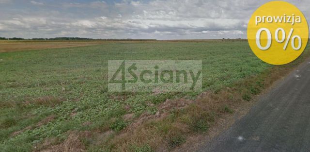 Działka budowlana Borki-Paduchy. Zdjęcie 5