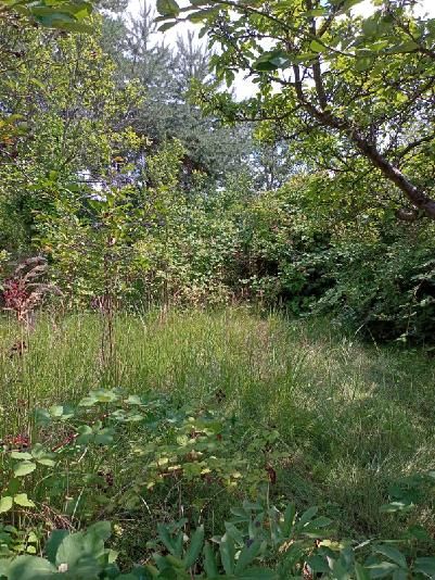 Działka rod Wrocław Fabryczna, ul. Bystrzycka. Zdjęcie 2