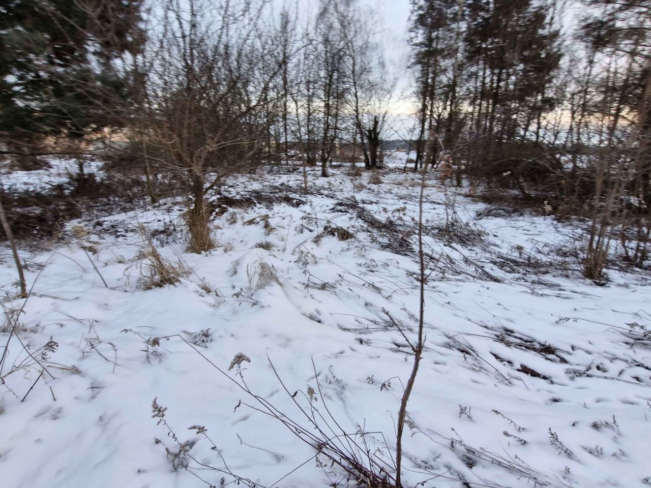 Działka budowlana Chełstów. Zdjęcie 5