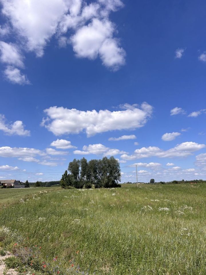 Działka rolna Kleszczyn. Zdjęcie 2