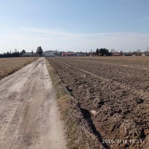 Działka budowlana Pająków. Zdjęcie 1