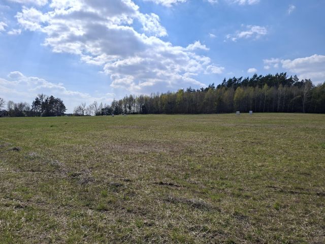 Działka rolno-budowlana Ludgierzowice. Zdjęcie 3