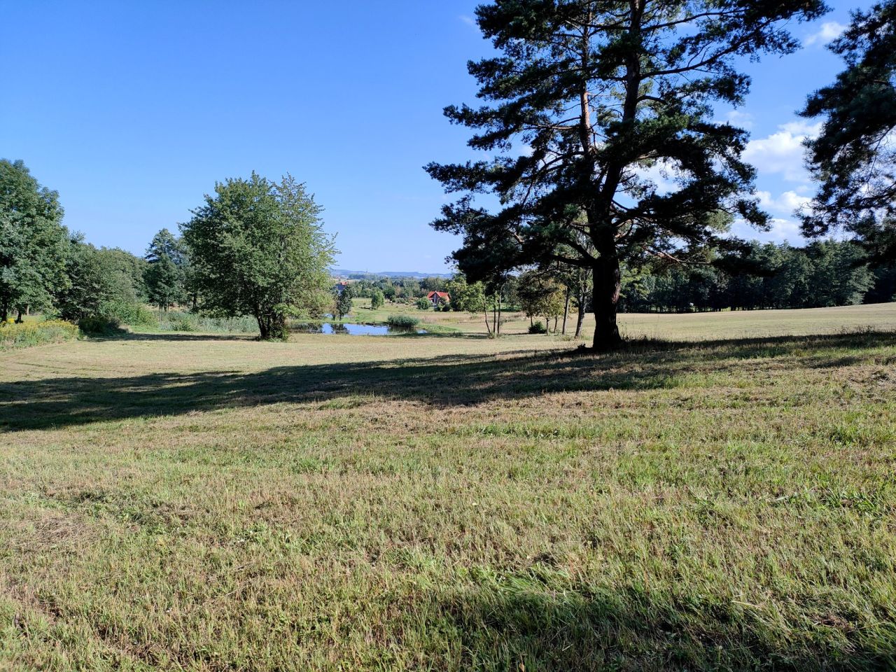 Działka rolno-budowlana Dzierżoniów. Zdjęcie 2