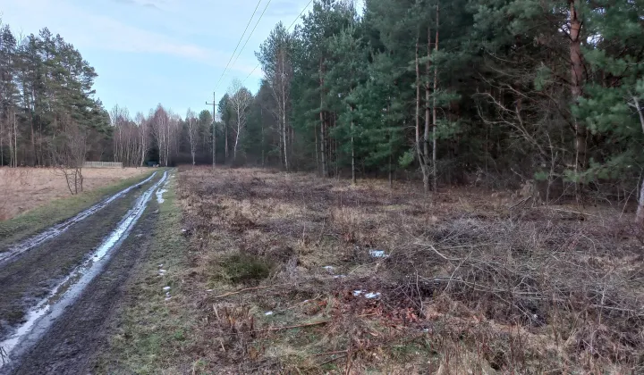 Działka budowlana Tumlin-Osowa, gminna