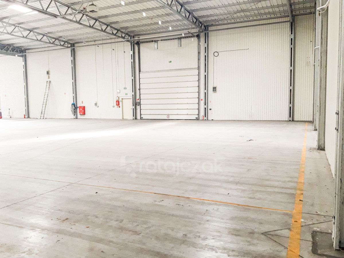 Lokal Pruszcz Gdański. Zdjęcie 12