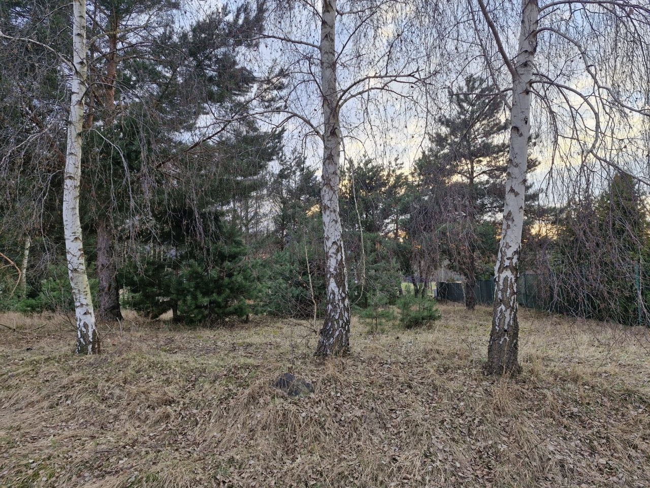 Działka budowlana Laski Małe. Zdjęcie 6