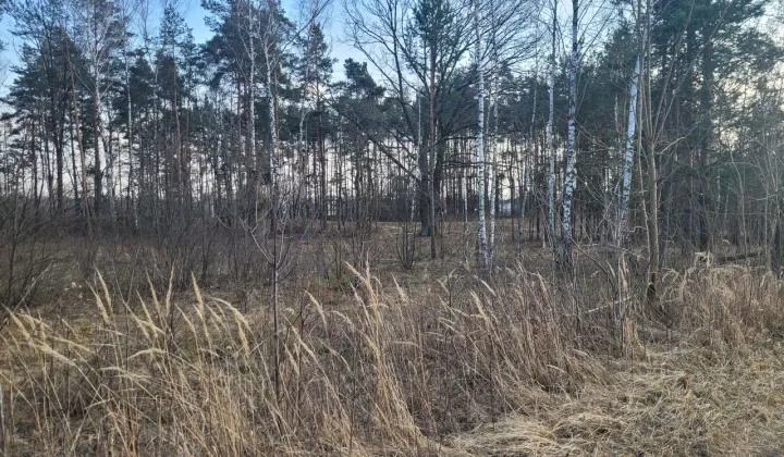 Działka inwestycyjna Nowy Konik