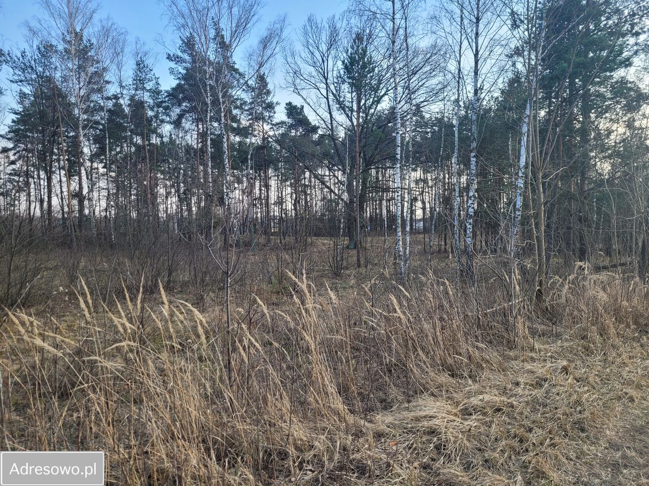 Działka inwestycyjna Nowy Konik. Zdjęcie 1