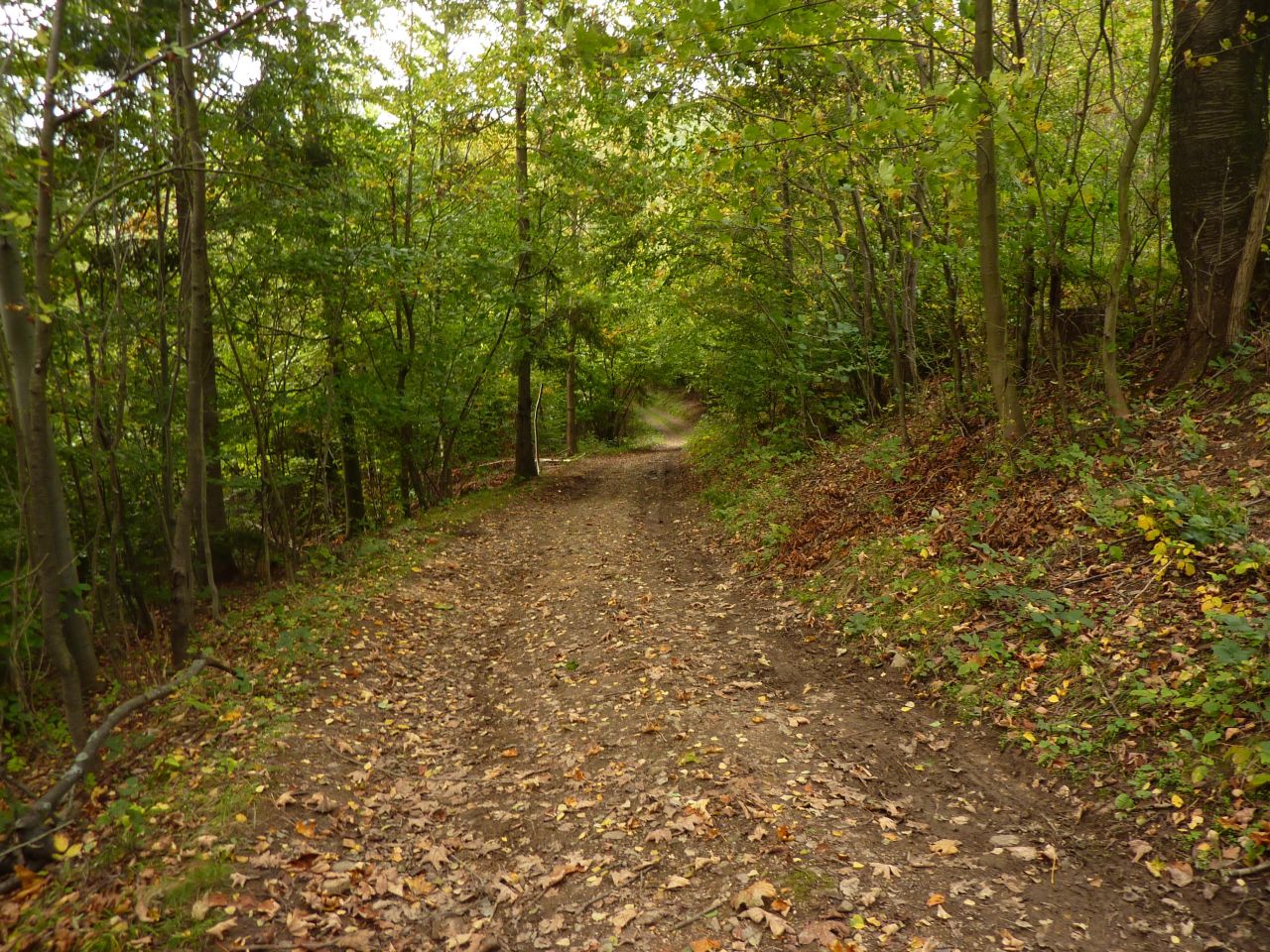 Działka rolna Pewel Wielka Garleje. Zdjęcie 23