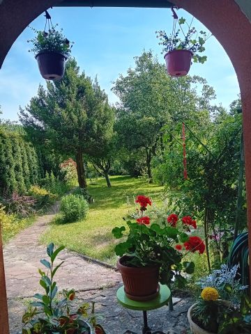 Działka rod Zielona Góra, ul. Osiedle Pomorskie. Zdjęcie 1