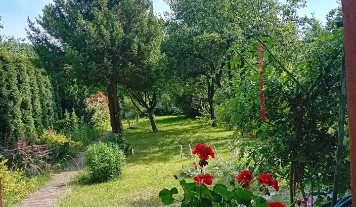 Działka rod Zielona Góra, ul. Osiedle Pomorskie