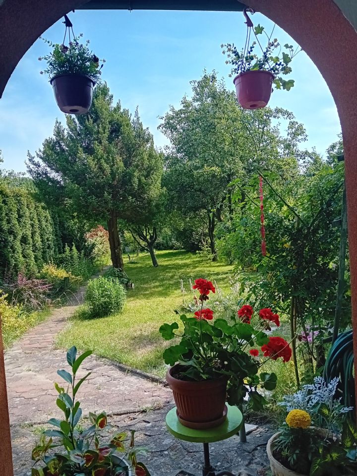 Działka rod Zielona Góra, ul. Osiedle Pomorskie