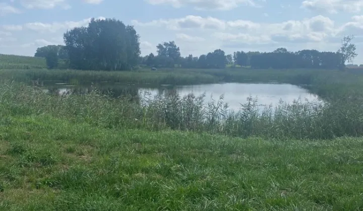 Działka rolno-budowlana Dębe, ul. Na Trzciniec