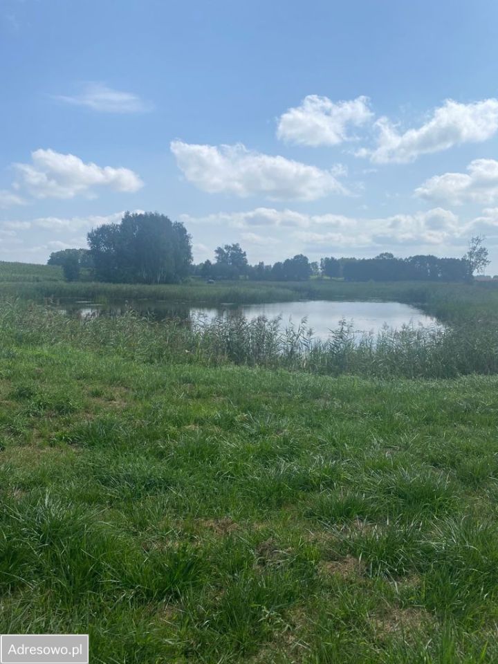 Działka rolno-budowlana Dębe, ul. Na Trzciniec. Zdjęcie 1