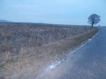 Działka rolno-budowlana Jastrzębnik. Zdjęcie 3