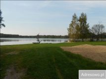 Działka siedliskowa Skolity. Zdjęcie 3