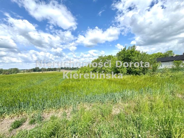 Działka inwestycyjna Łaznów. Zdjęcie 6