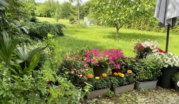 Działka budowlana Śrem Górczyn, ul. Zachodnia