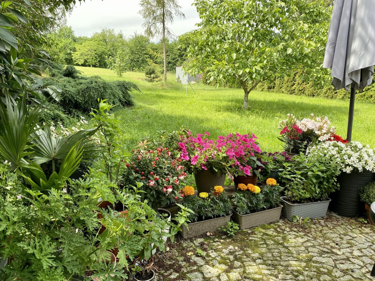 Działka budowlana Śrem Górczyn, ul. Zachodnia. Zdjęcie 3