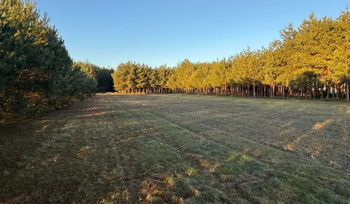 Działka budowlana Zimnica