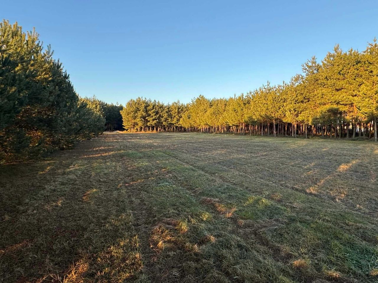 Działka budowlana Zimnica. Zdjęcie 1