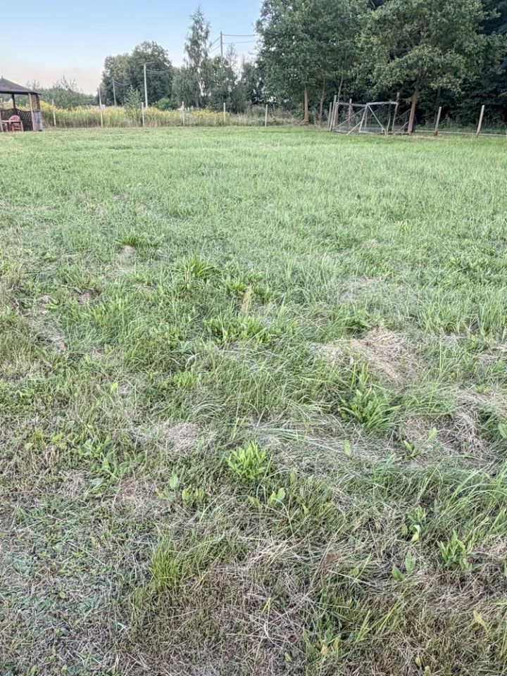 Działka budowlana Osuchów. Zdjęcie 1