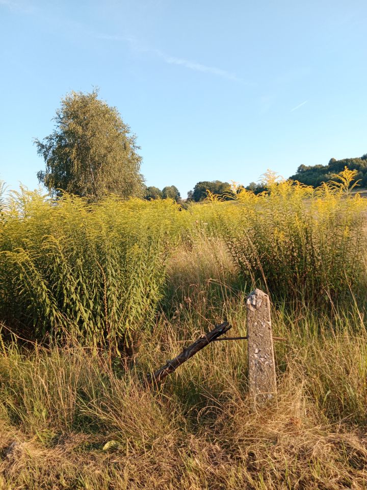 Działka rolno-budowlana Podlesie Łazy. Zdjęcie 2