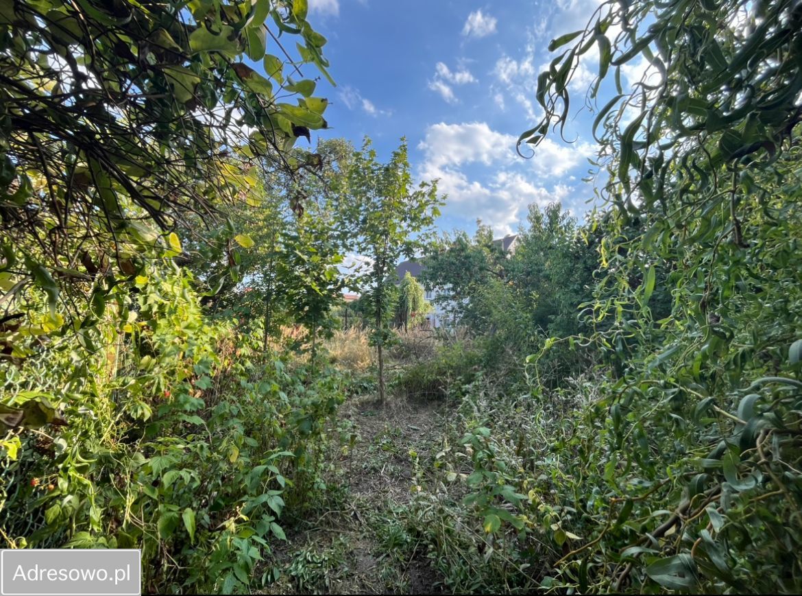 bliźniak, 3 pokoje Biała Podlaska Śródmieście, ul. Cicha. Zdjęcie 18