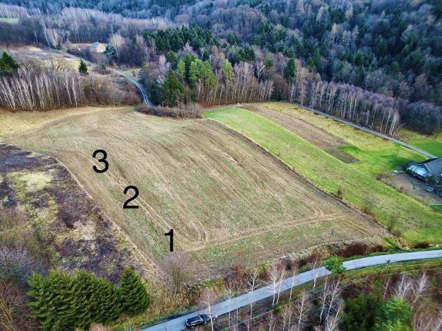 Działka budowlana Wielopole Skrzyńskie. Zdjęcie 1