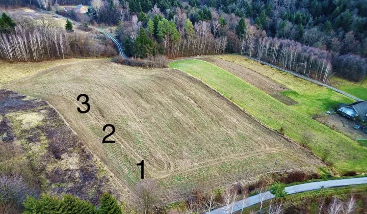 Działka budowlana Wielopole Skrzyńskie