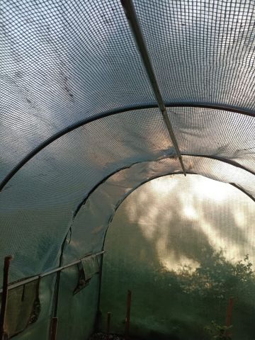 Działka rod Białystok Bagnówka, ul. Krzysztofa Pendereckiego. Zdjęcie 15