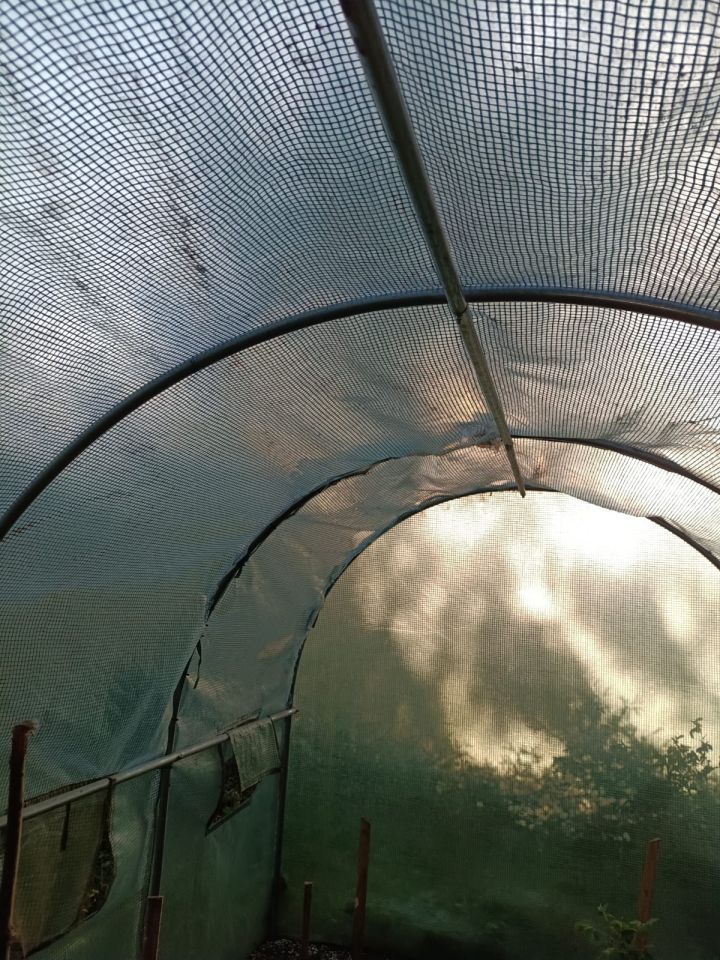 Działka rod Białystok Bagnówka, ul. Krzysztofa Pendereckiego. Zdjęcie 15