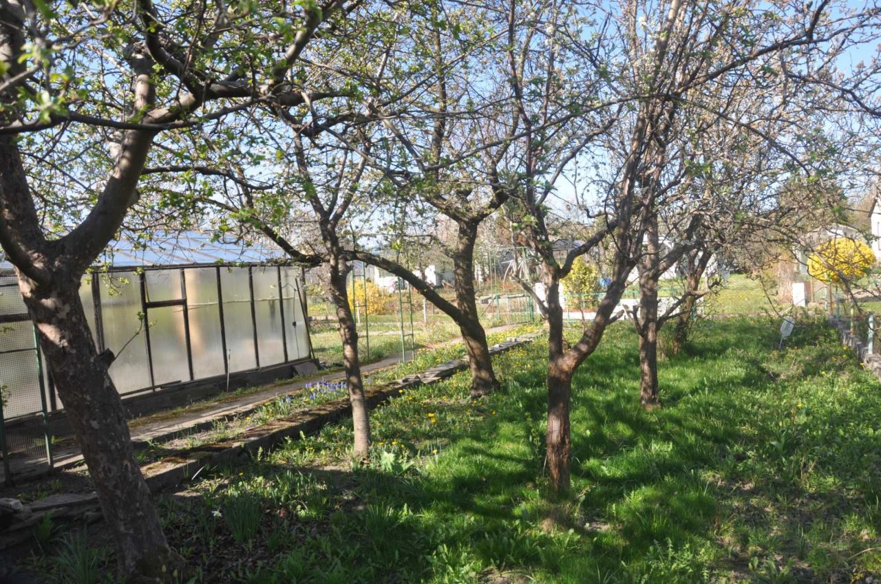 Działka rod Koszalin. Zdjęcie 2