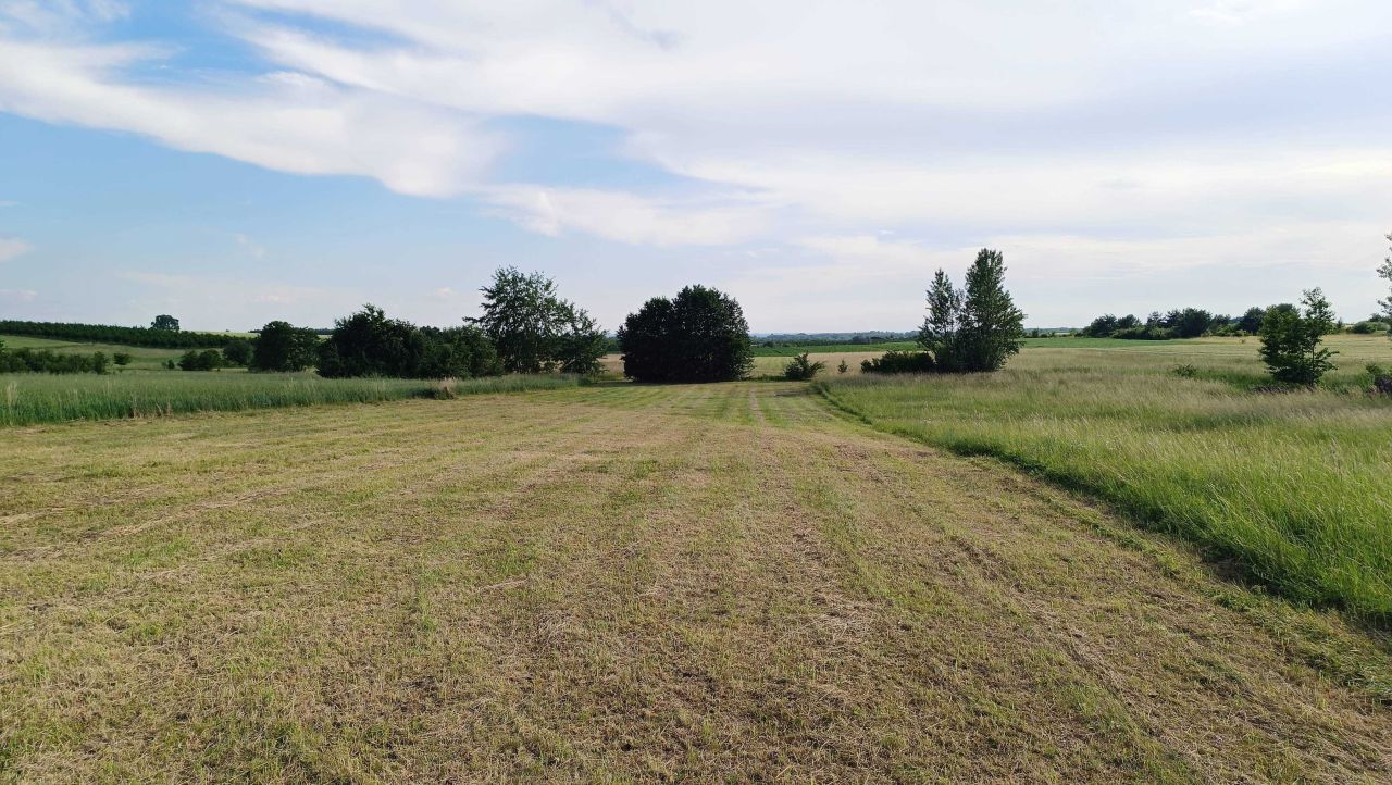 Działka rolna Sułkowice. Zdjęcie 7