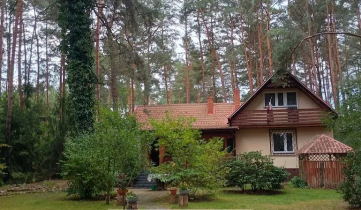 dom wolnostojący, 5 pokoi Urle