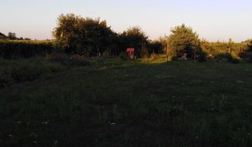 Działka budowlana Murzynowo Leśne. Zdjęcie 1