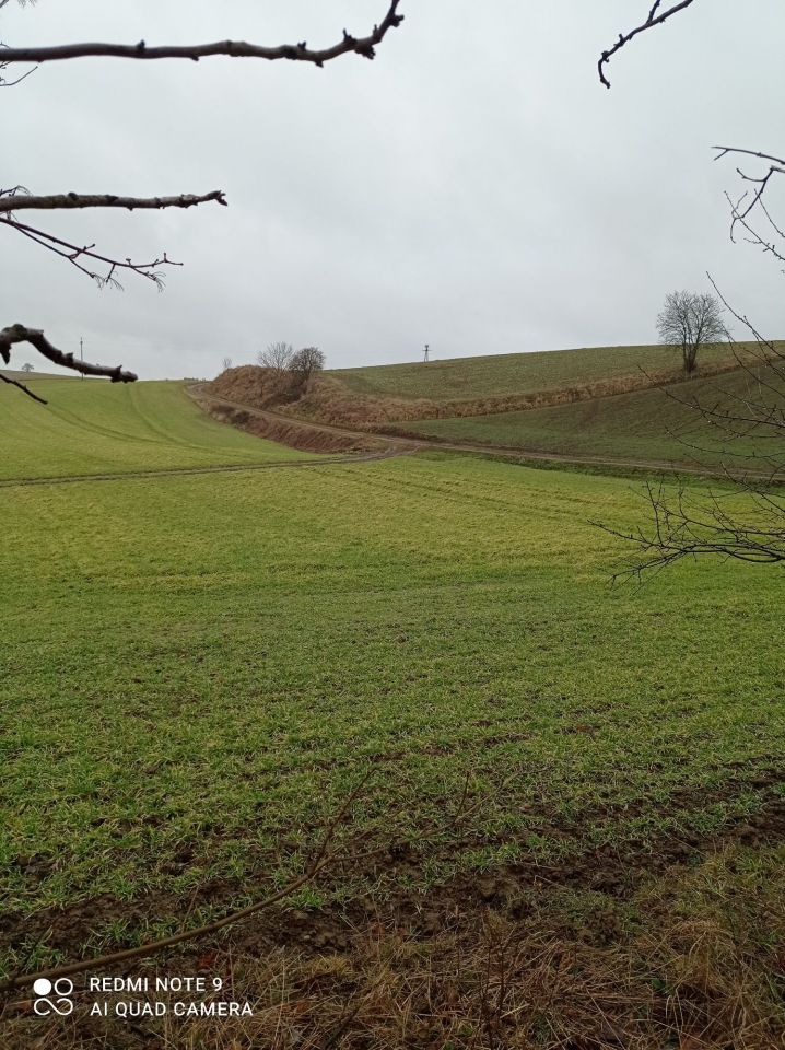 Działka rolno-budowlana Grabowo. Zdjęcie 7