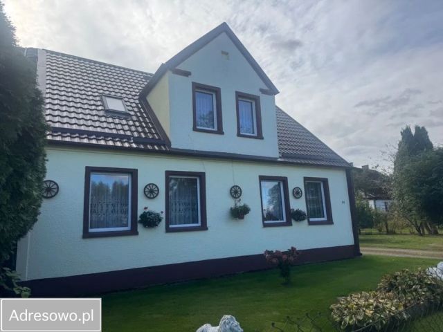 bliźniak Buczek. Zdjęcie 1