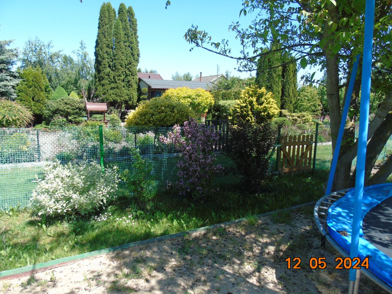 Działka rod Niedźwiada. Zdjęcie 13