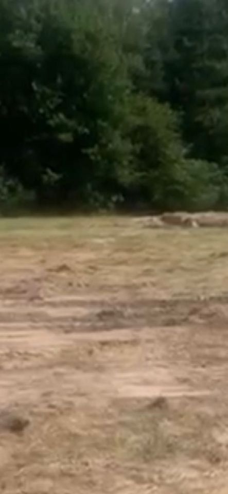 Działka budowlana Pustków. Zdjęcie 2