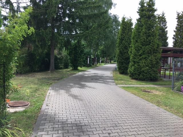 Działka rod Wrocław Stare Miasto, ul. Góralska. Zdjęcie 22