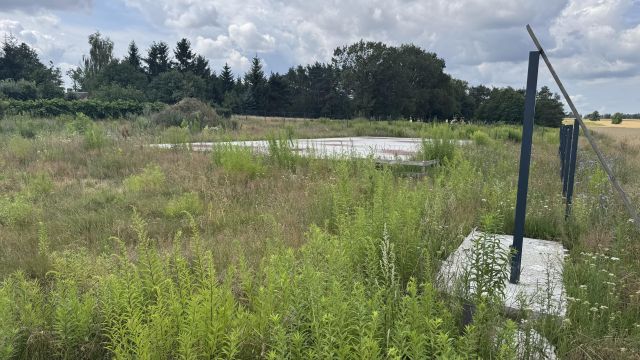 Działka inna Niesułków-Kolonia. Zdjęcie 1