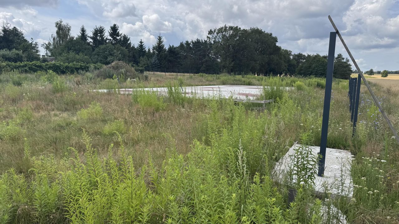 Działka inna Niesułków-Kolonia