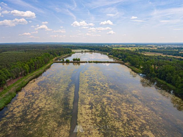 Działka budowlana Koniowo. Zdjęcie 6