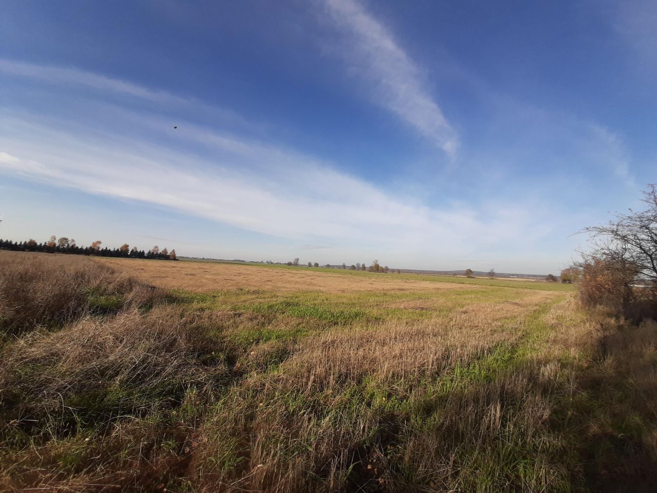 Działka budowlana Gajówki. Zdjęcie 8