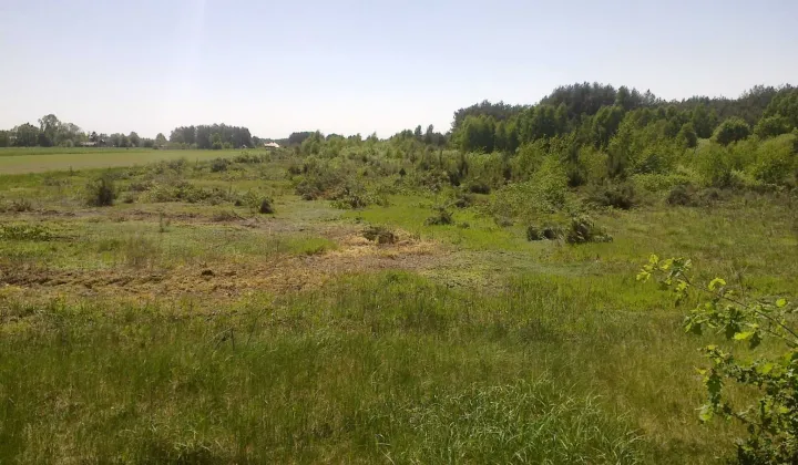 Działka rolna Goszczyce Średnie