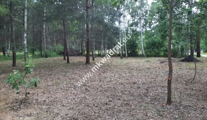 Działka budowlana Strzeniówka