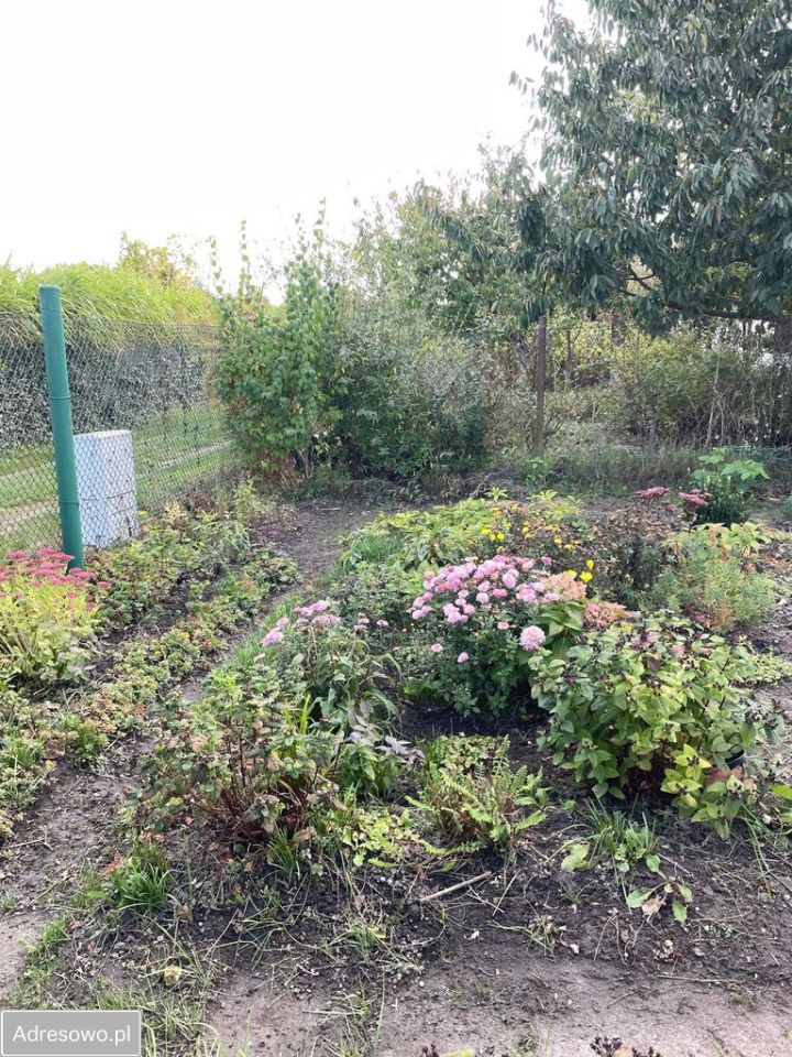 Działka rod Gliwice Wójtowa Wieś, ul. Ku Dołom. Zdjęcie 11