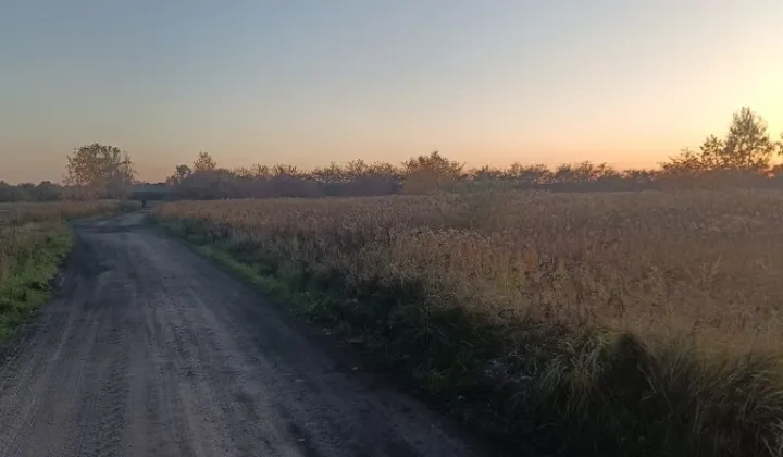 Działka rolna Nadbrzeż