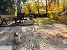 dom wolnostojący, 4 pokoje Kamińsko, ul. Bukowa. Zdjęcie 2
